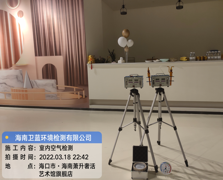 海南CMA甲醛檢測(cè)-?？谑惺捝莼钏囆g(shù)館甲醛檢測(cè)