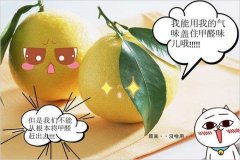 去除甲醛的方法多種多樣，哪種最實(shí)用靠譜